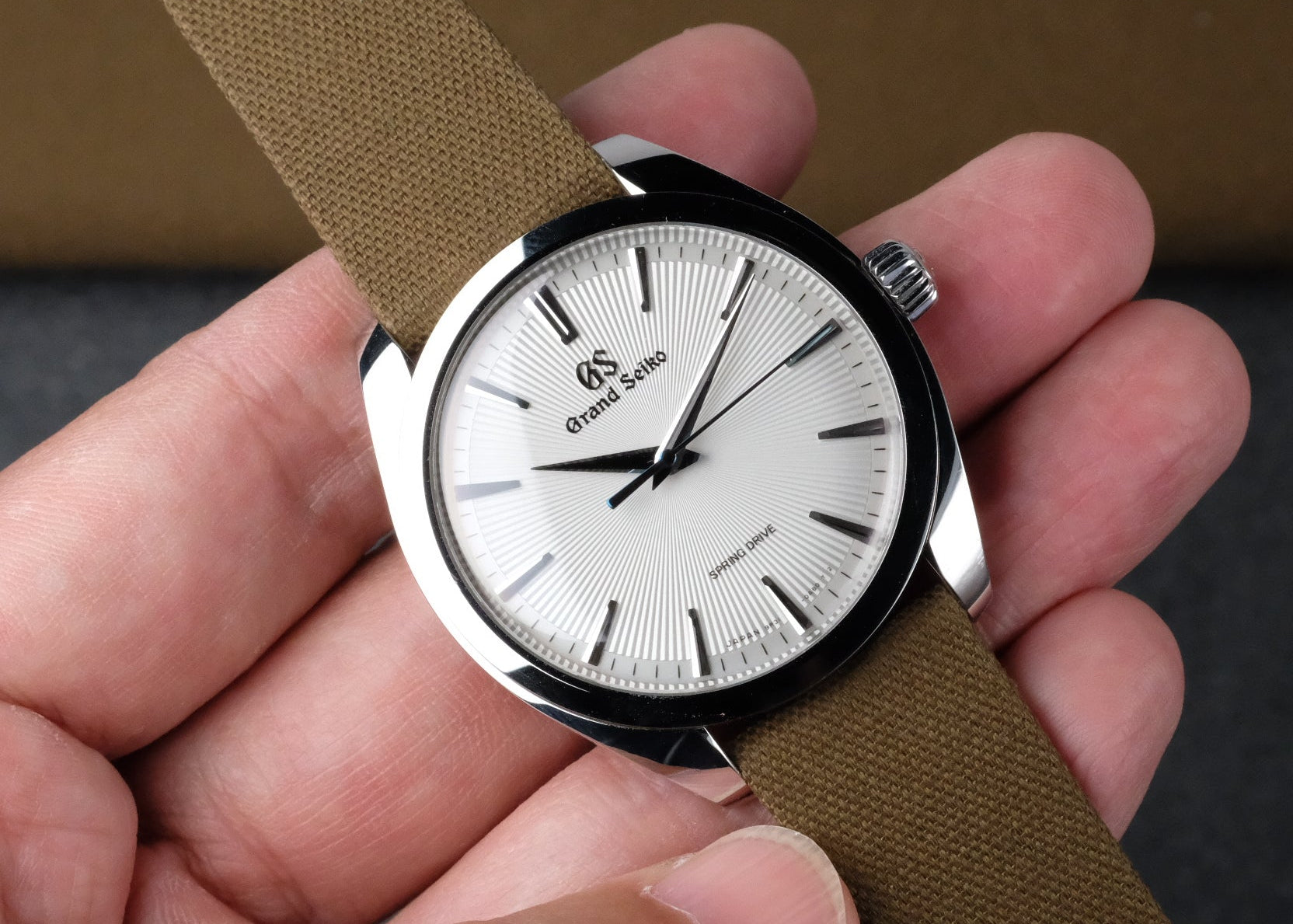 Seamaster 300 165.024: Vintage Icon – RSM Watch Strap